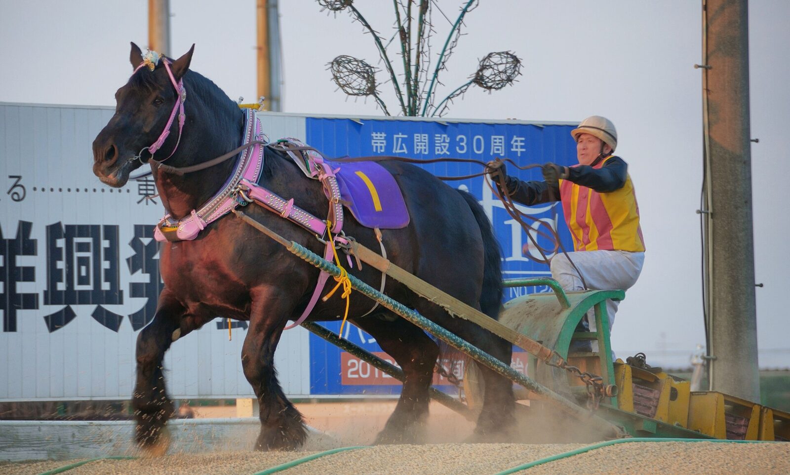 11月1日 帯広市 帯広競馬場のJBC抽選会 第1レース後から・馬券1,000円以上で1回